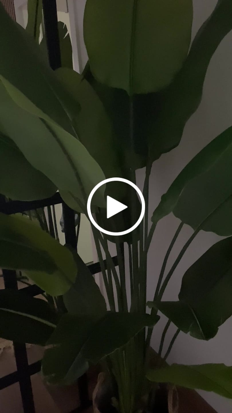 Customer video review of Strelitzie Kunstpflanze 180cm