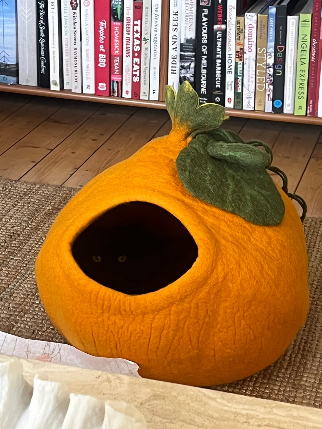 Customer photo review of Cat Cave - Pumpkin