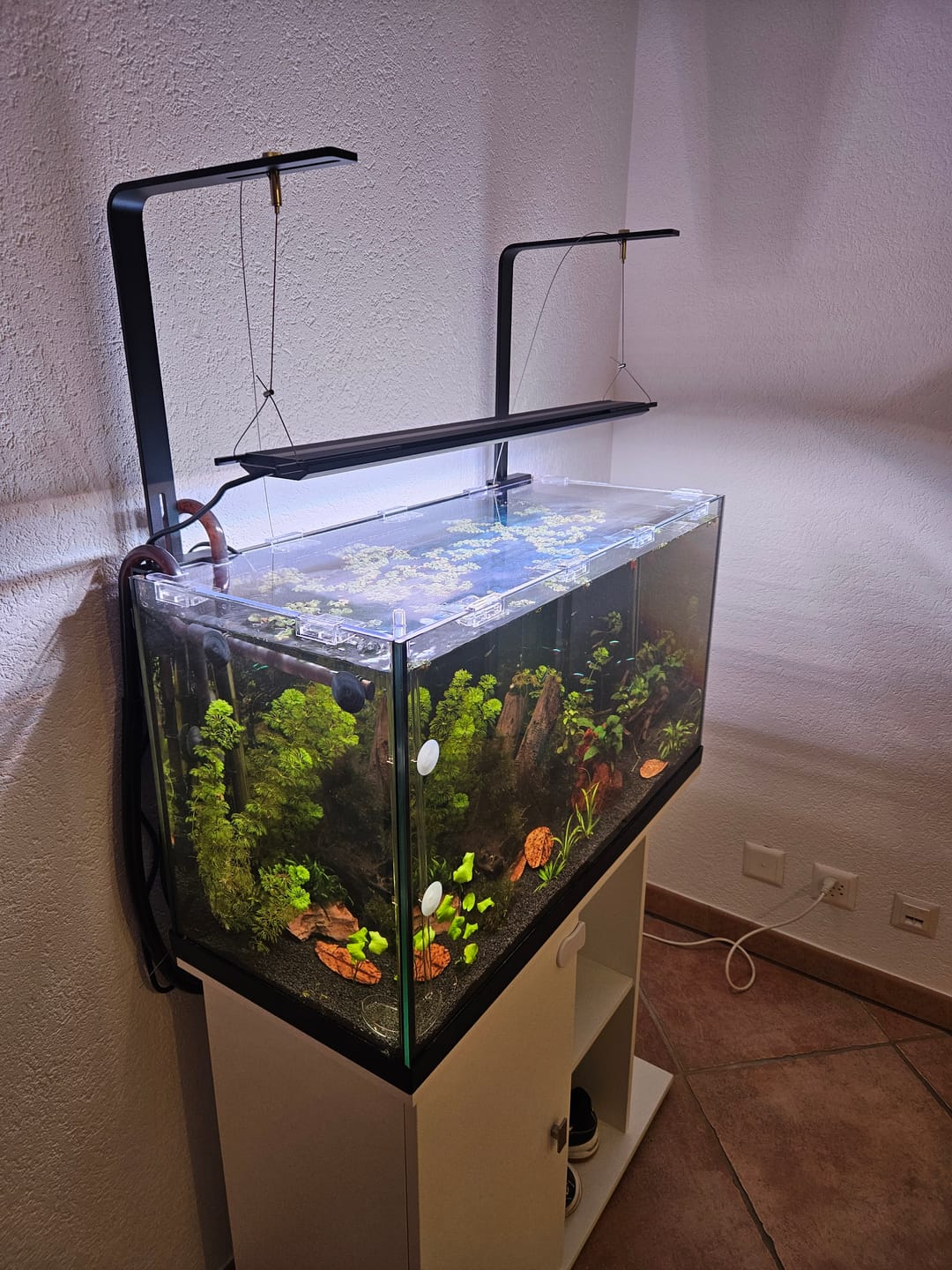 Customer photo review of Chihiros LED Lights Small Hanging Stand Kit