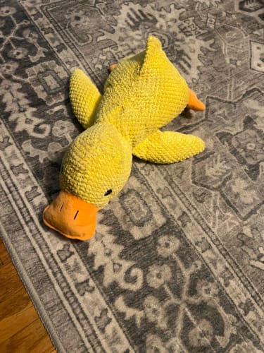 Customer photo review of Quaki die Ente