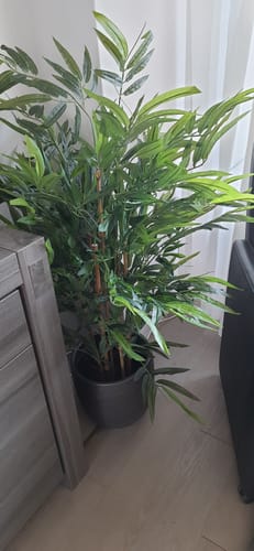 Customer photo review of Bamboe Kunstplant B 120 cm