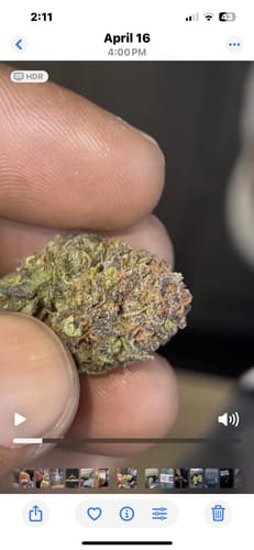 Customer photo review of Girl Scout Cookies THCA Flower