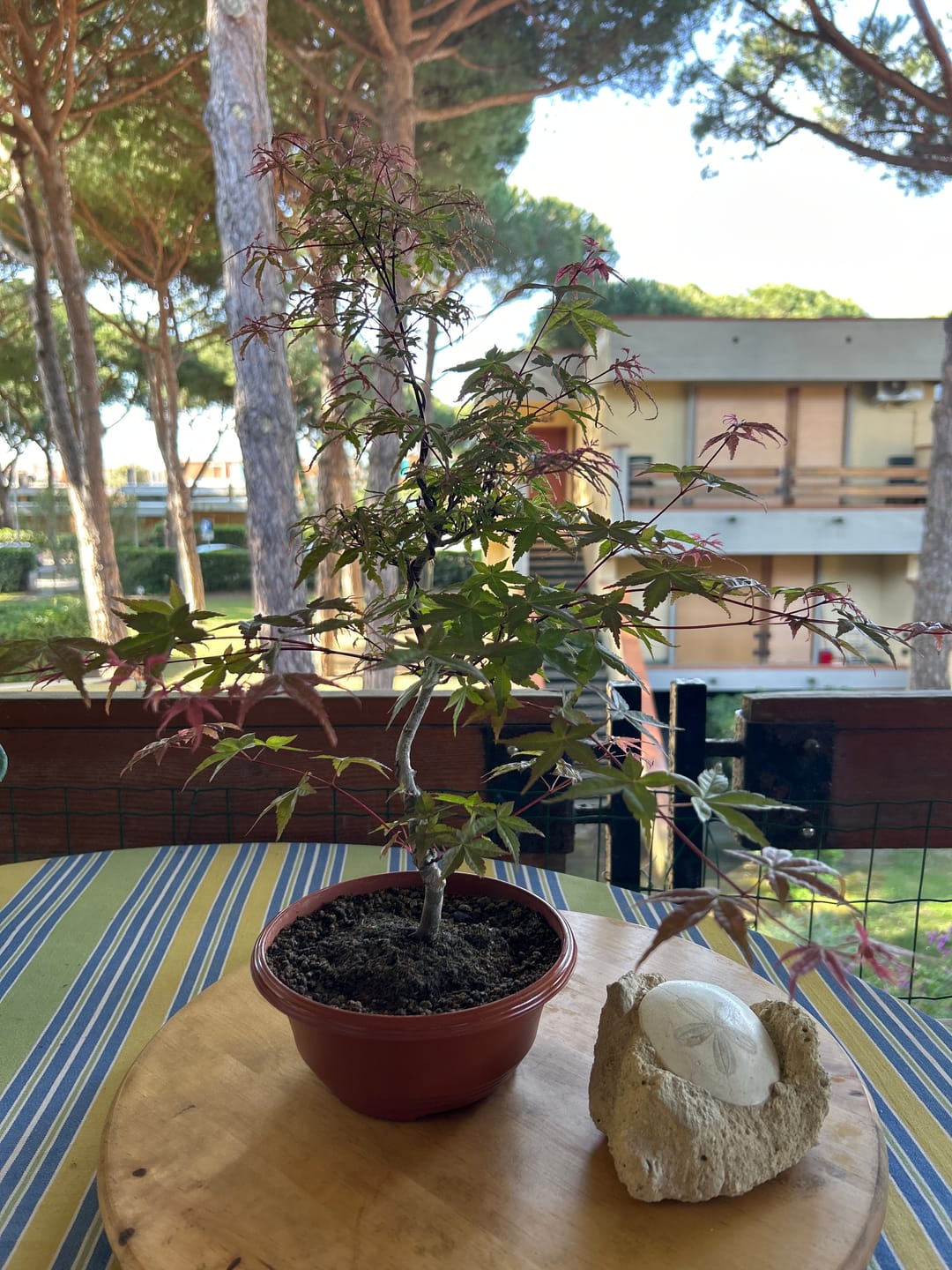 Customer photo review of BULK MASTER CB® (Pompaggio Estivo)