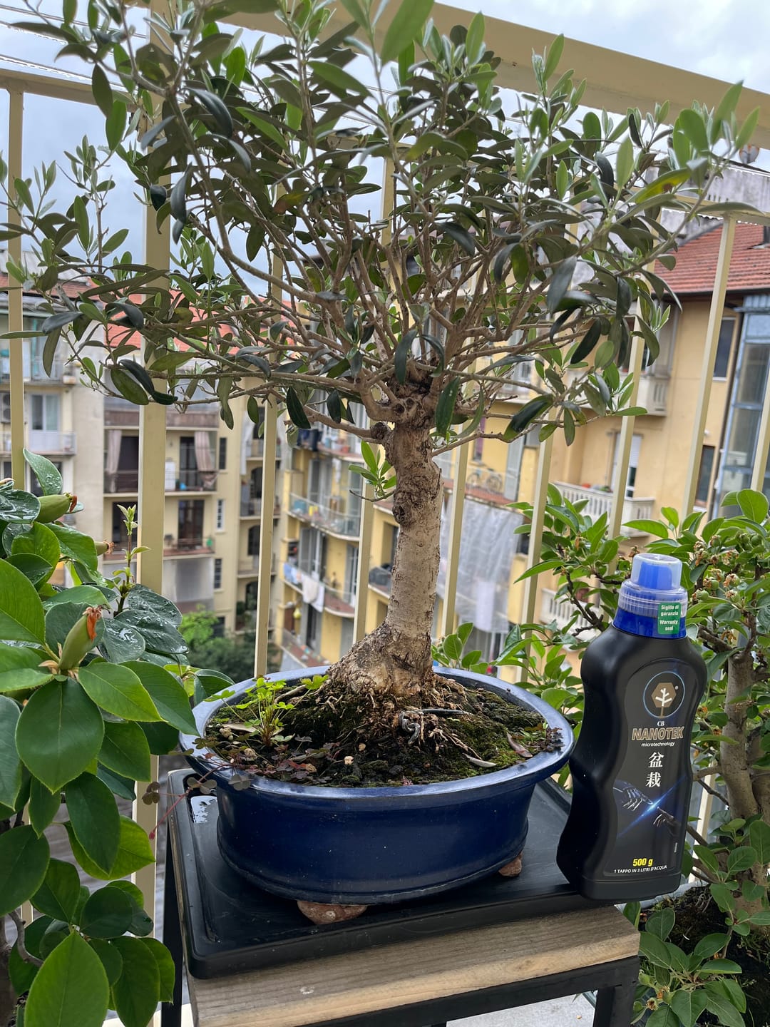 Customer photo review of CURA TOTALE PACK