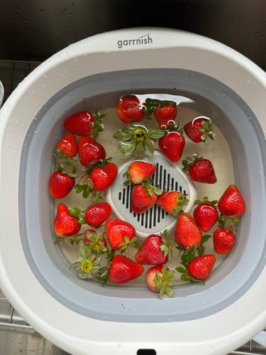 Customer photo review of Garrnish Pesticide Purifier 2R Bundle with XL Tub