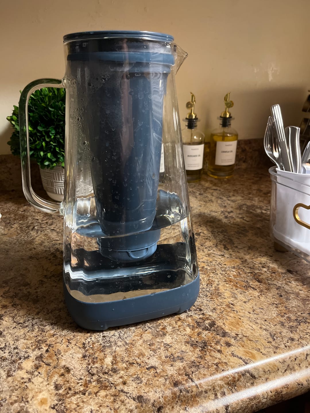 Customer photo review of Glacierfresh P02 10 Cup Glass Water Pitcher With Filter