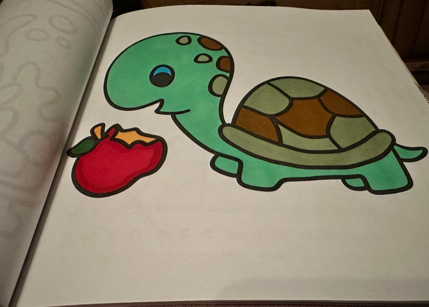 Customer photo review of 8-Pack Mystery Pallette of Ohuhu Alcohol Markers with Brush Tips + Wook Books Holographic Marker Bag