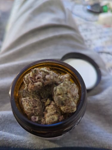 Customer photo review of Purple Urkle