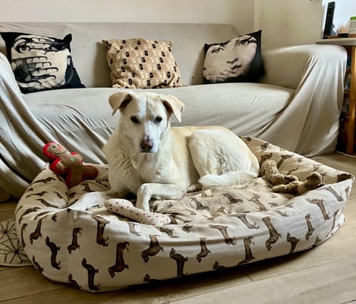 Customer photo review of Cover Bassotti in cotone panama