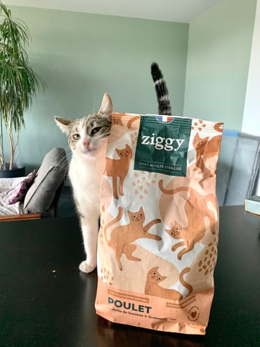 Avis photo d'un client sur Croquettes Chat Stérilisé Sans Céréales - Poulet