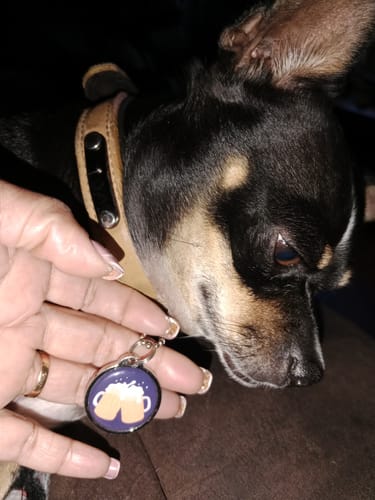 Customer photo review of Placa Cervezas