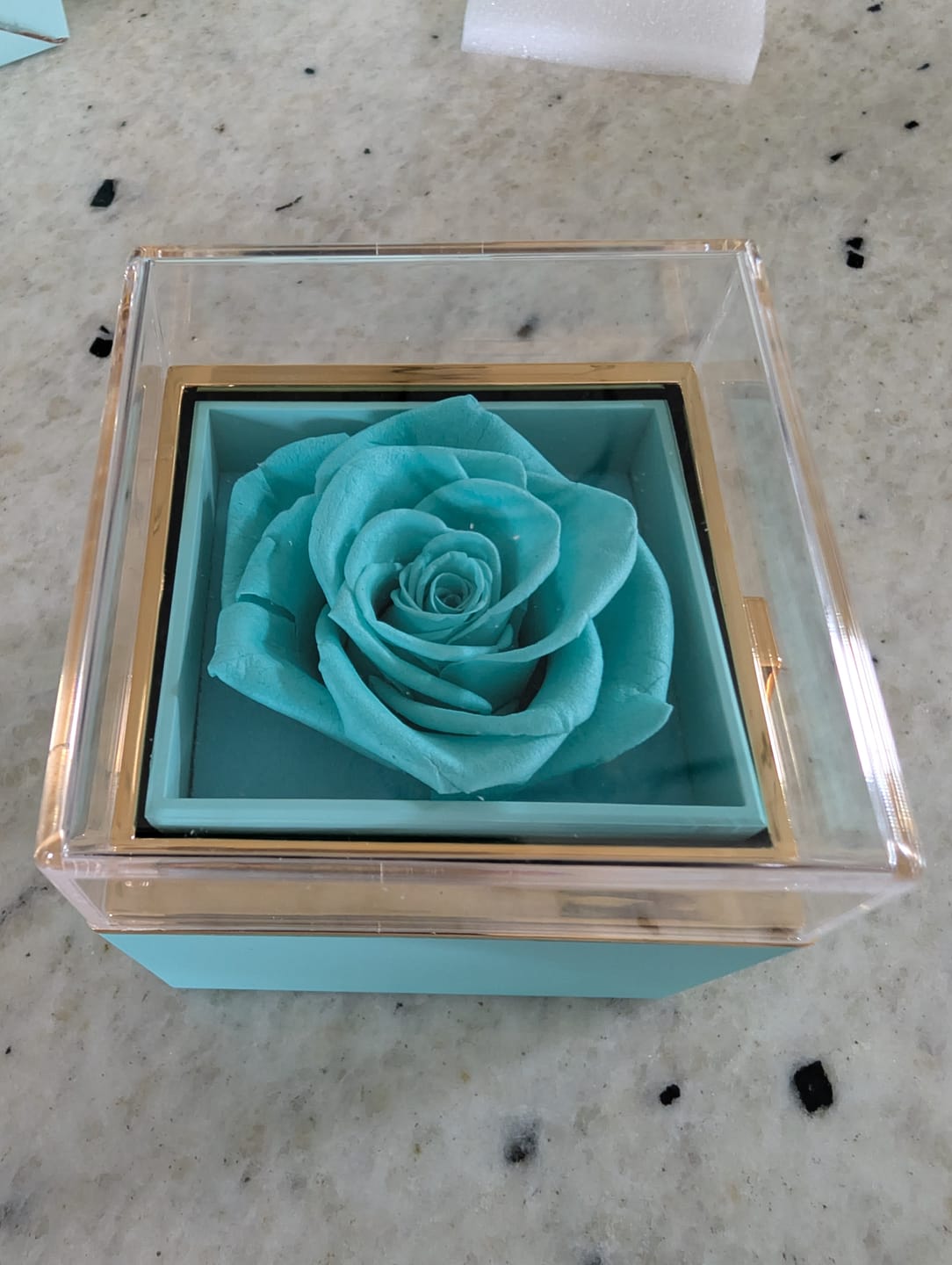Customer photo review of Rotating Eternal Rose Gift Box