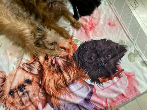 Customer photo review of Petcanva©オーダーメイド ブランケット