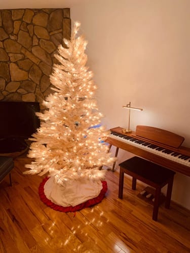 Customer photo review of Donner DDP-80 Upright Digital Piano