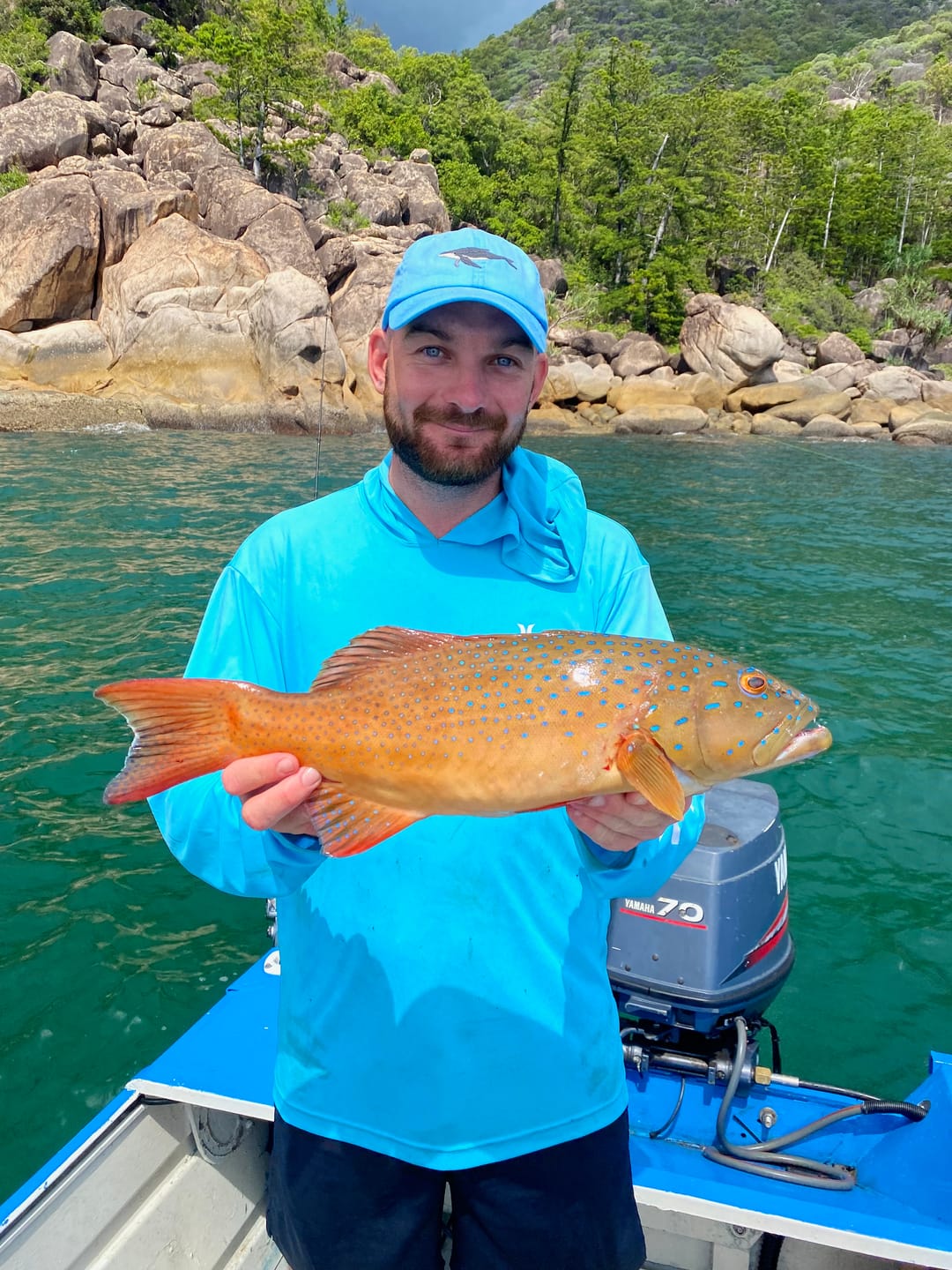 Customer photo review of Humpback Whale Lid