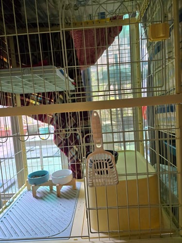 Customer photo review of 金屬貓砂鏟