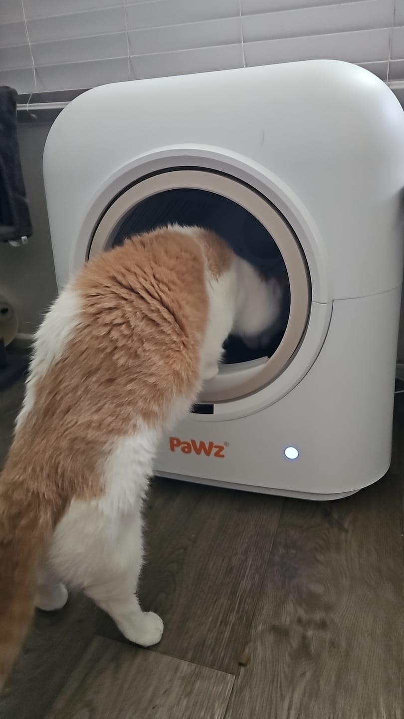 Customer photo review of PaWz AutoClean Pro Automatic Self Cleaning Cat Litter Box