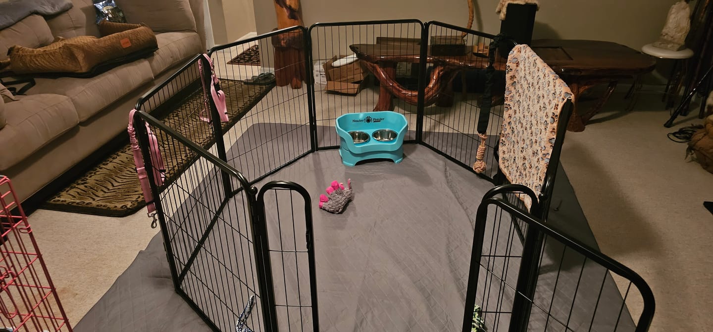 Customer photo review of Homeplus Dog Playpen for Indoor Use