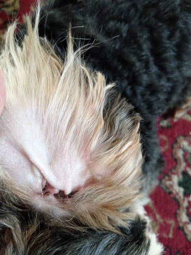 Customer photo review of Multi Vital