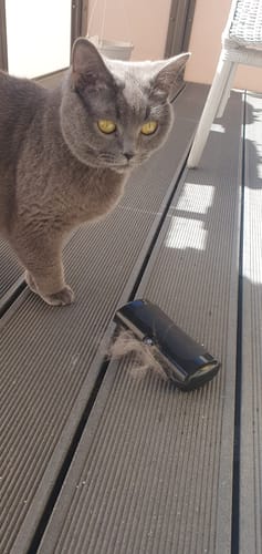 Customer photo review of Fellwunder-Bürste - Der Bestseller