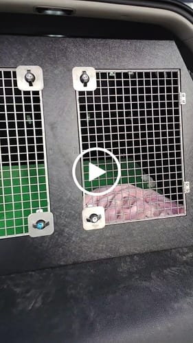 Customer video review of Volvo XC60 | 2018-Present | Dog Travel Crate | The DT 11
