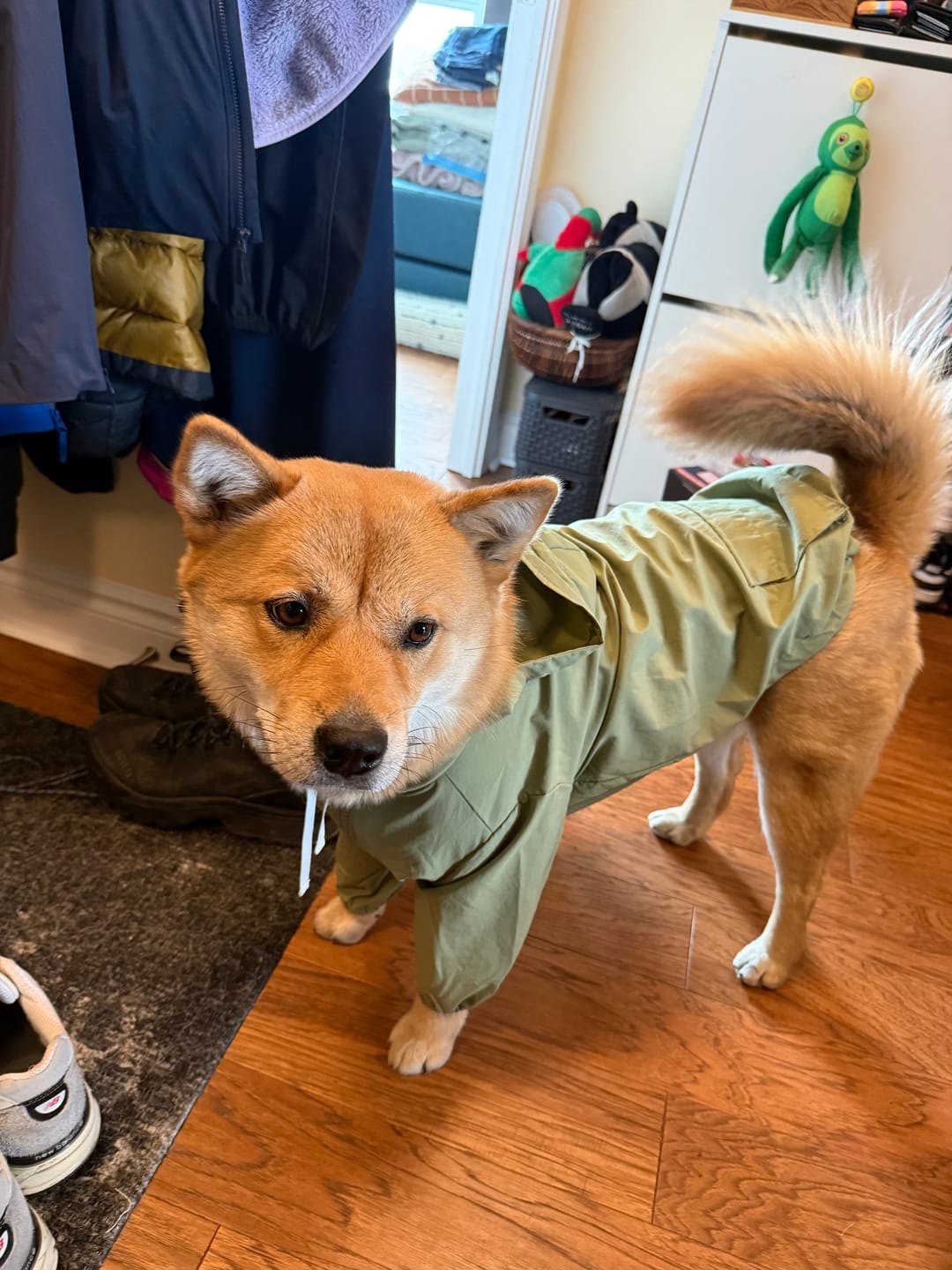 Customer photo review of Big Hooded Anorak Khaki