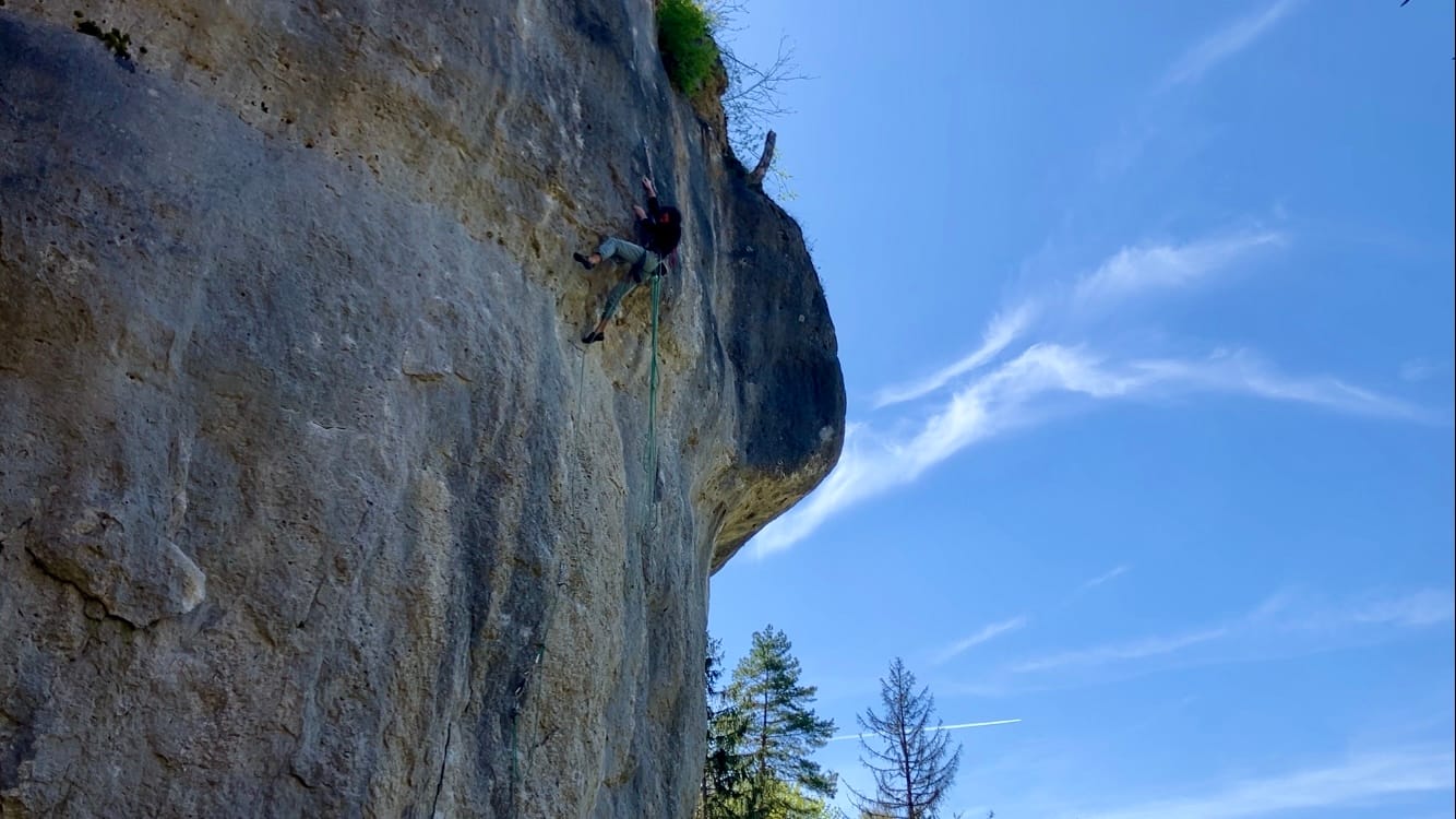 Customer photo review of "Soft-Cinch" - Lead Rope Solo Backfeed Preventer (5 Pack)
