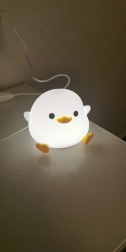 Customer photo review of Duck Silicone Night Lights