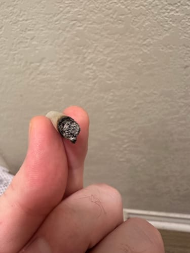 Customer photo review of Gary Payton THCA Flower