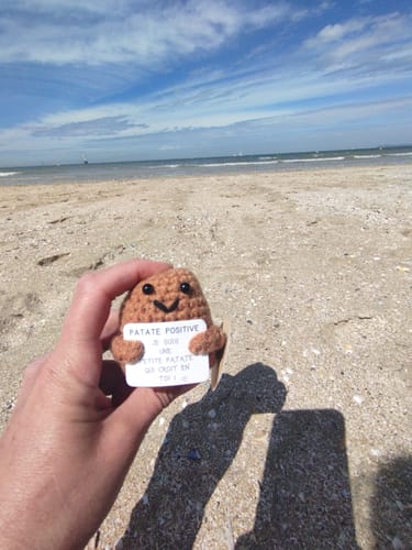 Customer photo review of PATATE POSITIVE