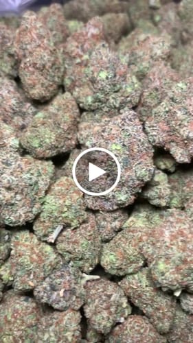 Customer video review of Exotic Shake