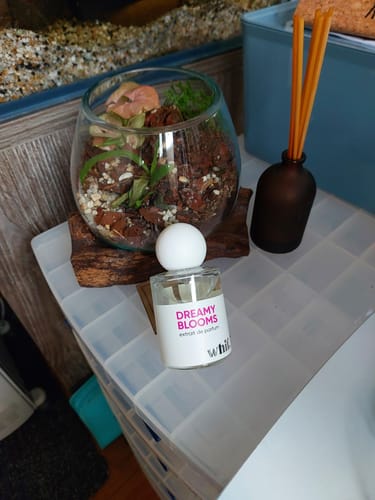 Customer photo review of Dreamy Blooms