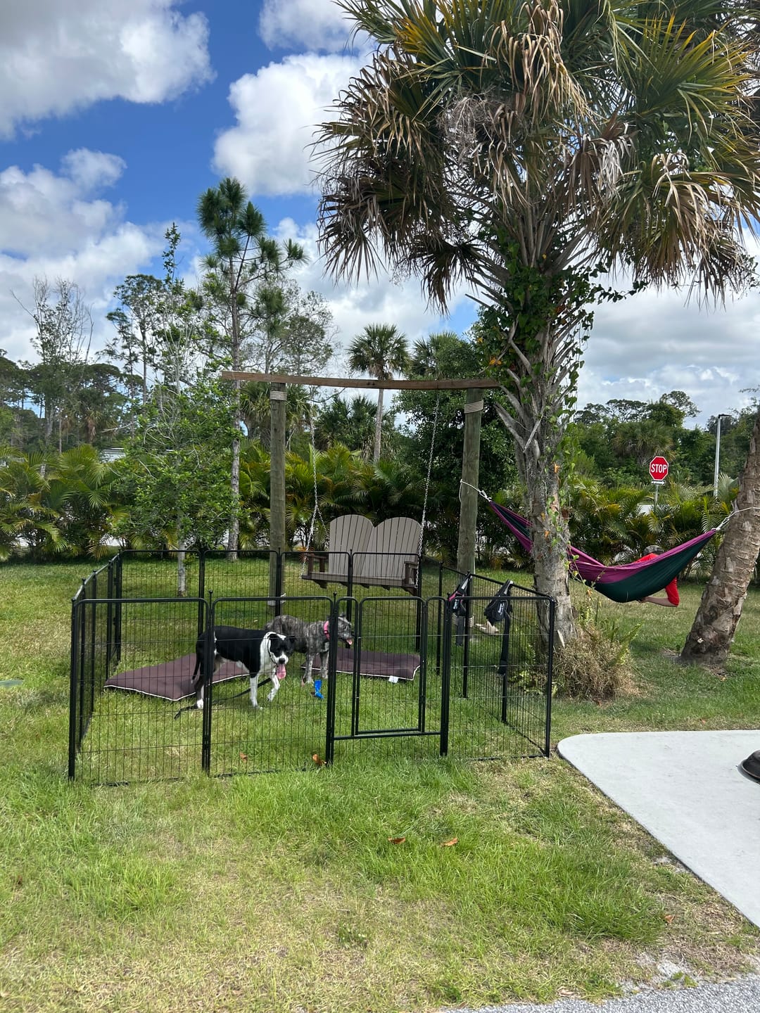 Customer photo review of Stake Bag for Storing & Transporting Playpen Stakes