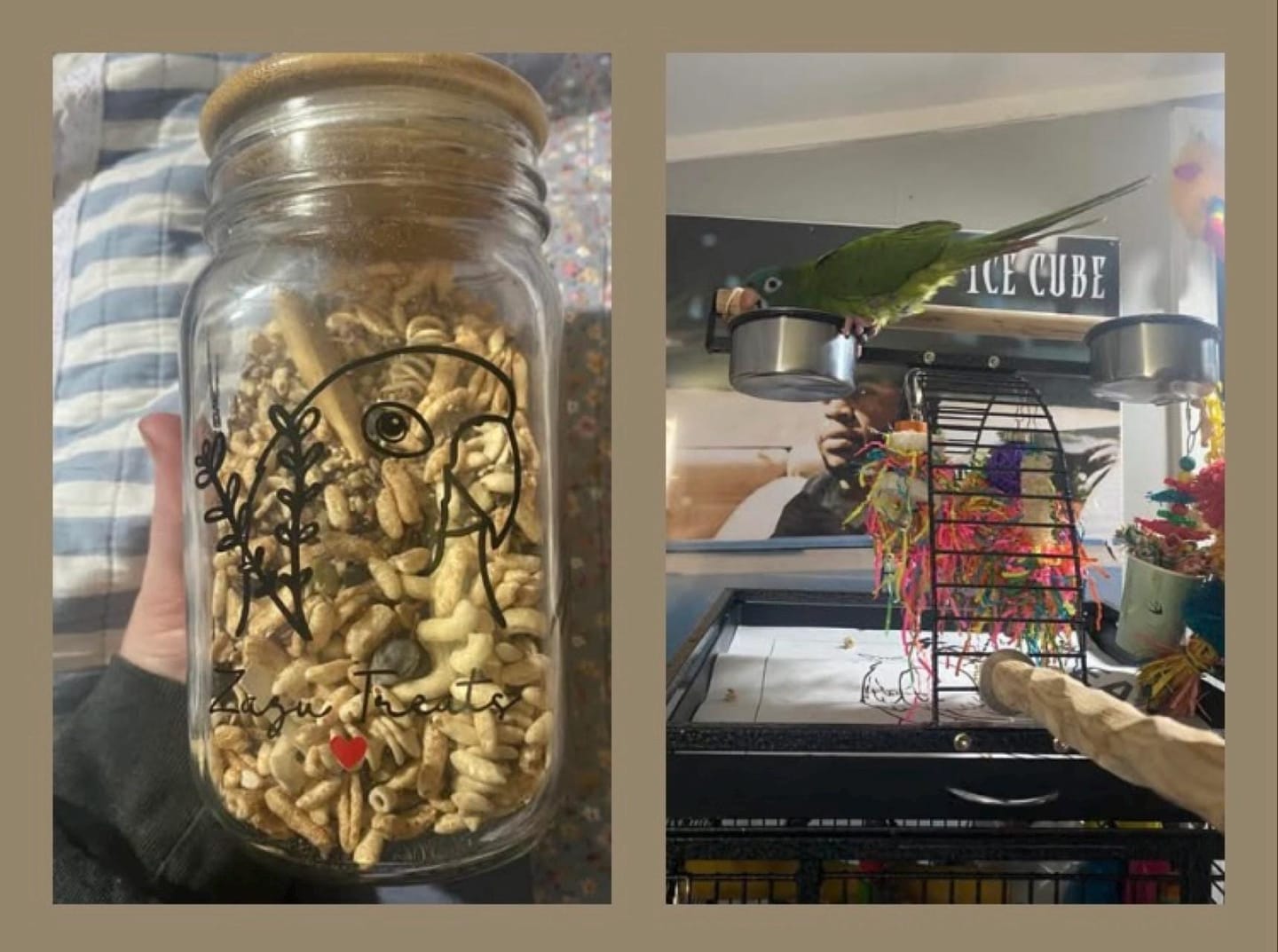Customer photo review of Whole Balance by Bird Bites - Cooked & Freeze Dried Grains & Legumes