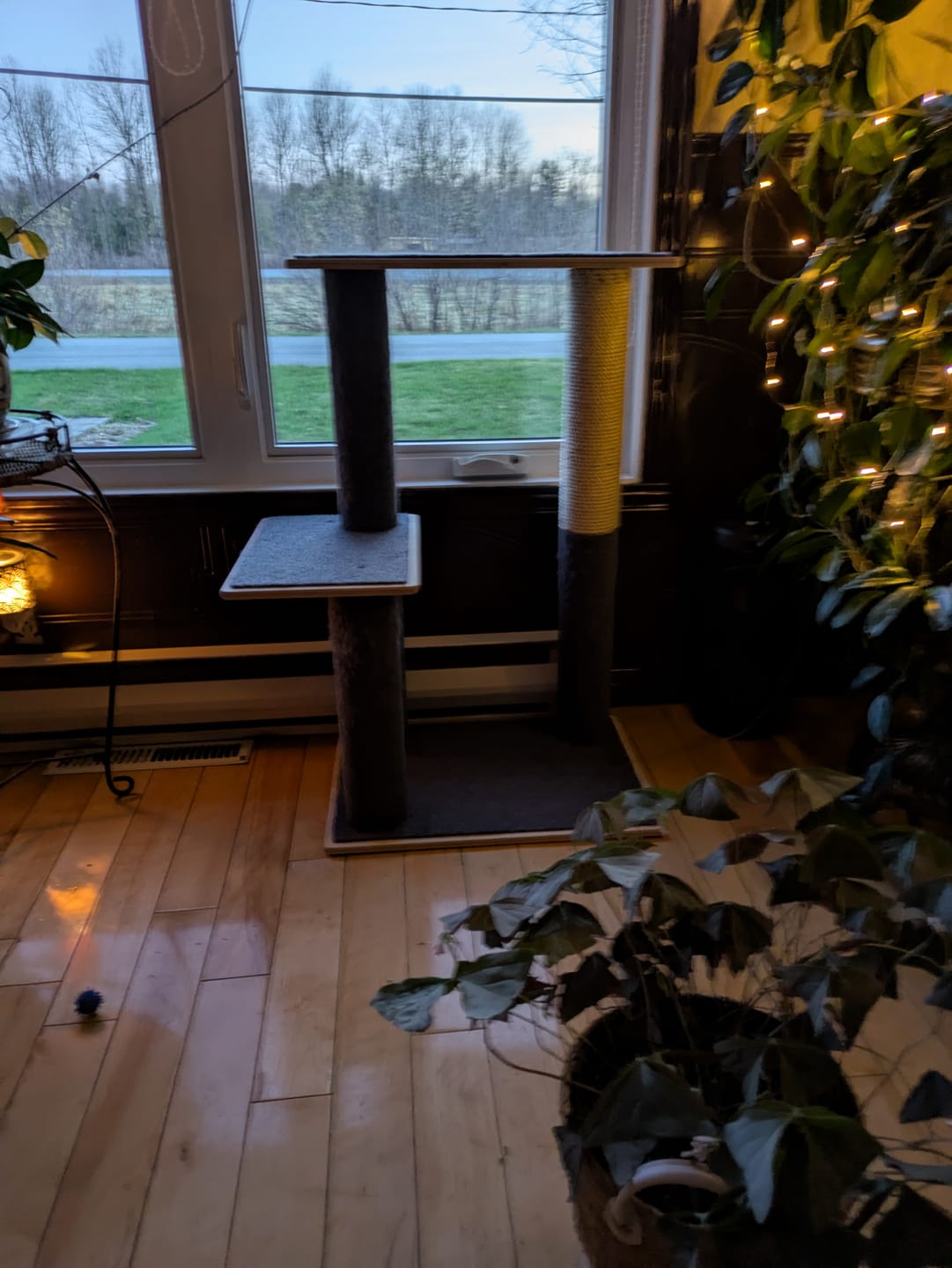 Customer photo review of Noba Modern Plywood 2-Level Cat Tree