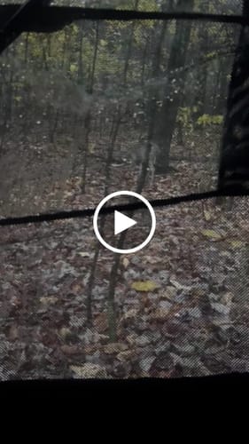 Customer photo review of VisMaster 270° See-through Hunting Blind with No-Trip Door - KOL Exclusive