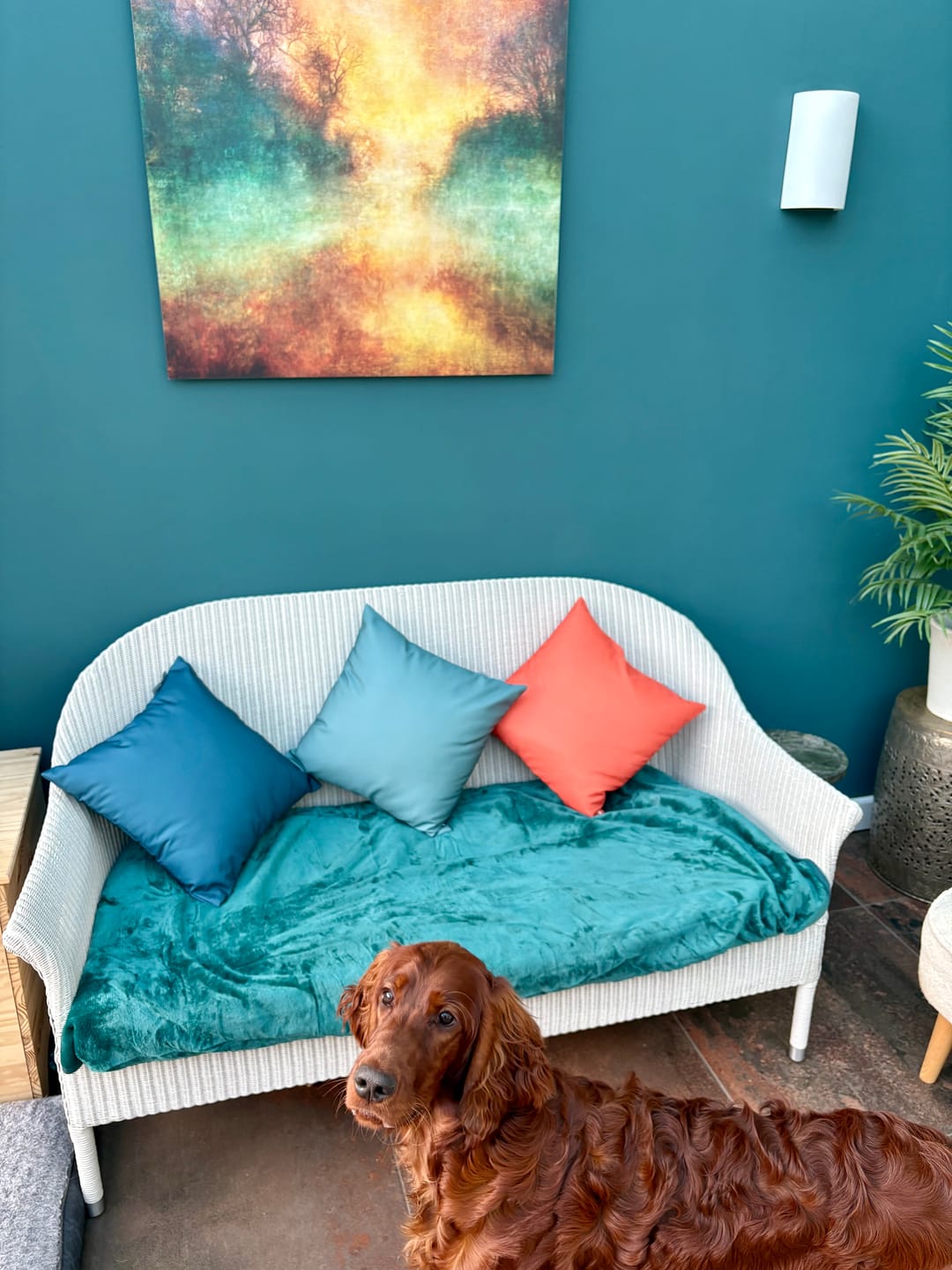 Customer photo review of Outdoor Garden Waterproof Cushion - Signature Colours