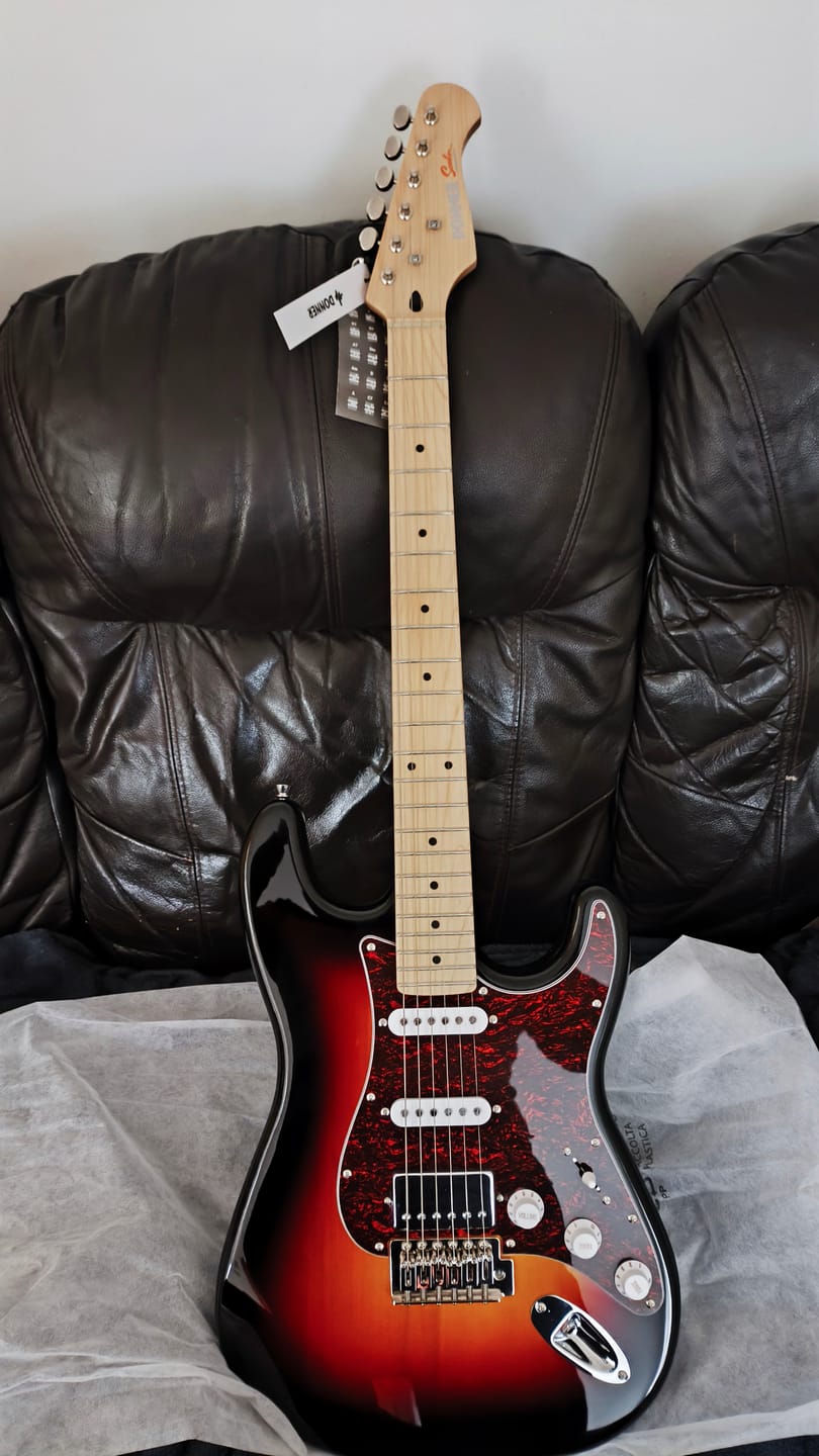 Customer photo review of Donner DST-152 Guitare électrique set débutant ST Type