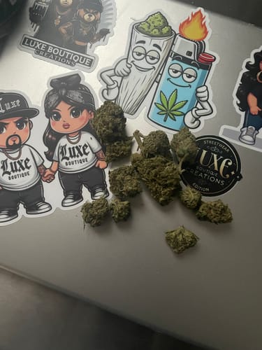 Customer photo review of Blue Dream THCA Flower