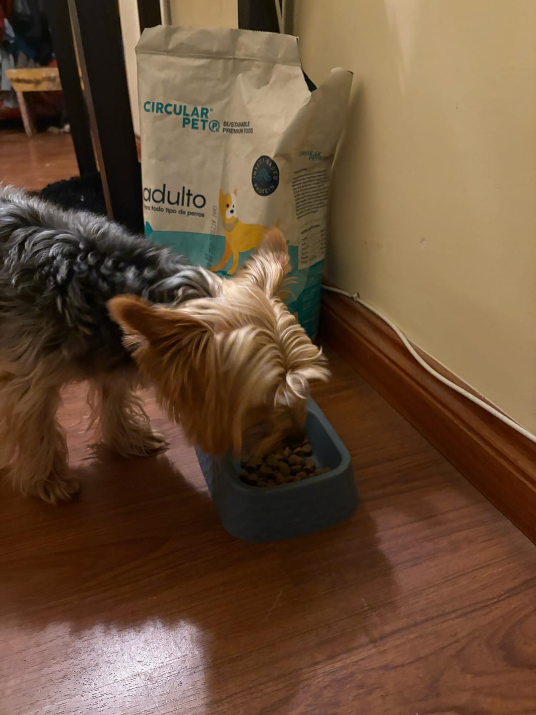 Customer photo review of Alimento Perro Adulto Toda Raza Proteína Insectos