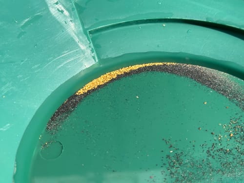 Customer photo review of Kiwi Gold Pay Dirt