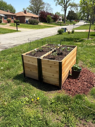Customer photo review of 18" x 48" Planter Box - 24" TALL