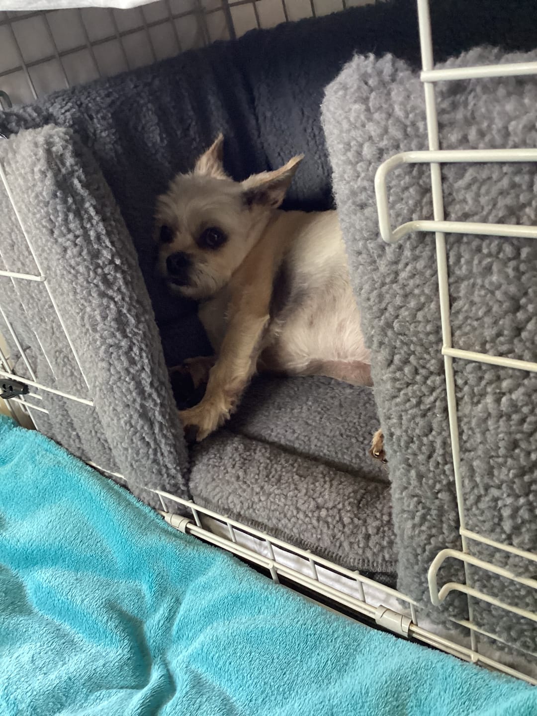 Customer photo review of Danish Design Crate Bumper