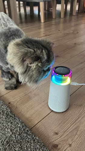 Customer photo review of FurFresh - Nie wieder peinlicher Katzengeruch