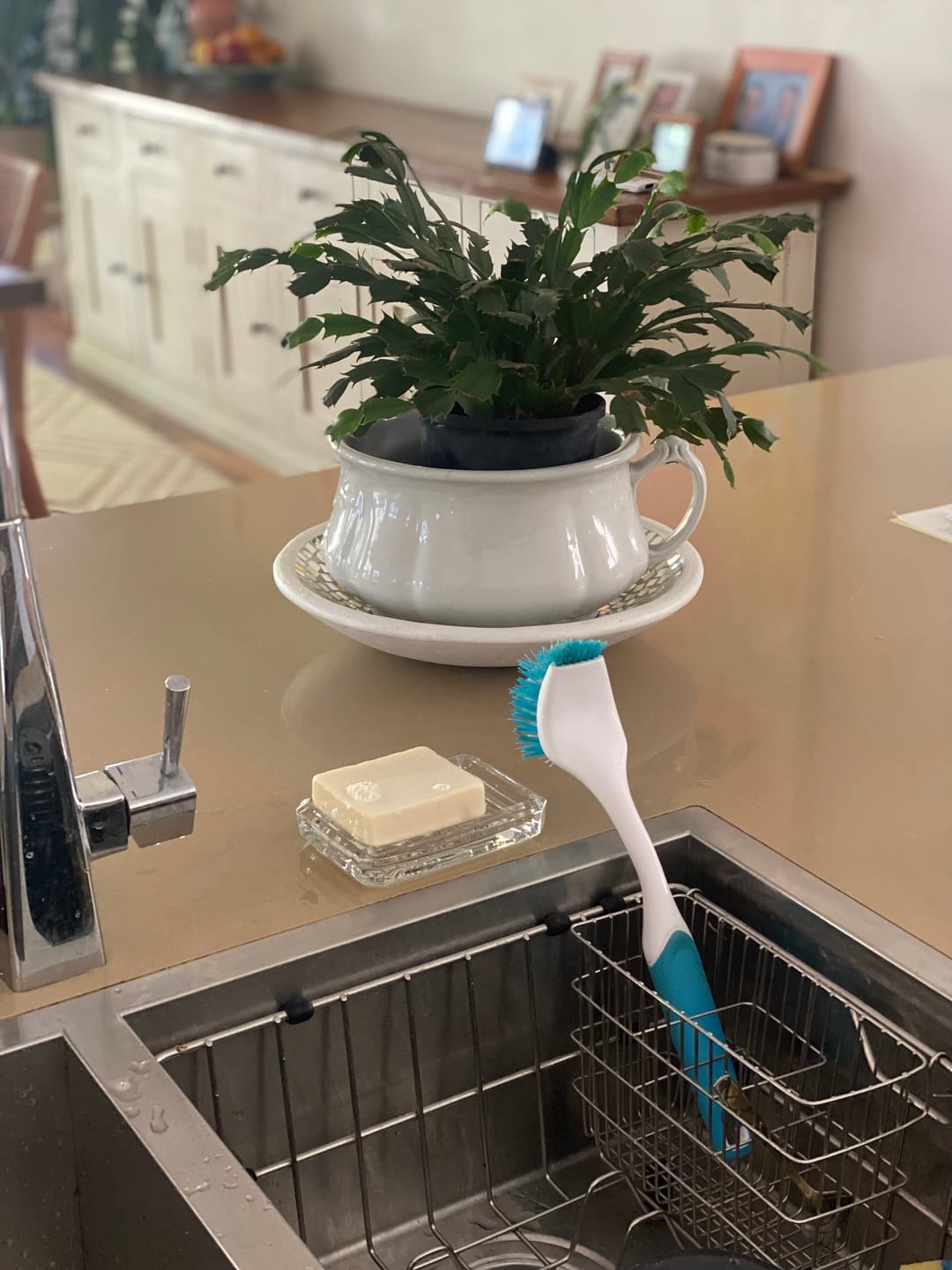 Customer photo review of Dishwashing Soap Bar (Lemon Myrtle)