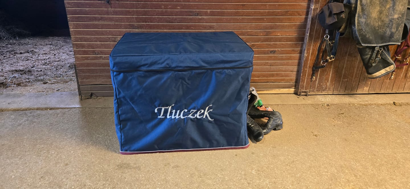 Customer photo review of Custom Tack Trunk Cover- For any Standard Size Trunk