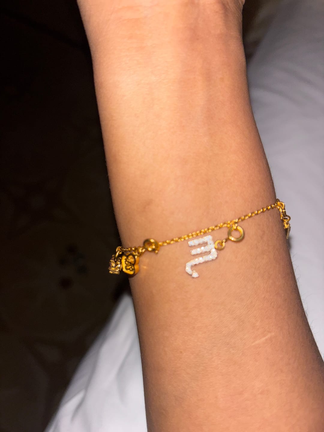 Customer photo review of Charms Bracelet