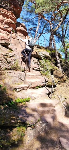 Customer photo review of Pala Premium