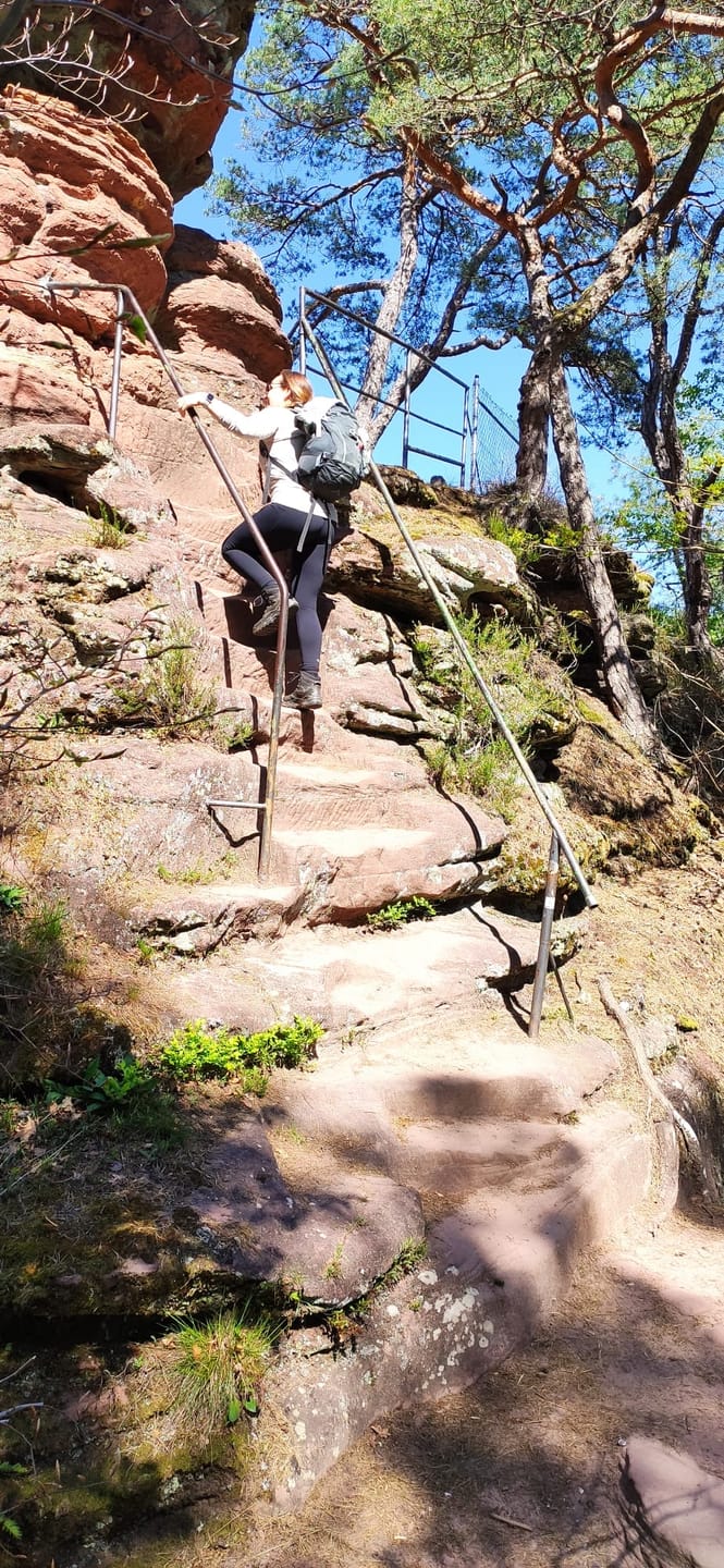 Customer photo review of Pala Premium