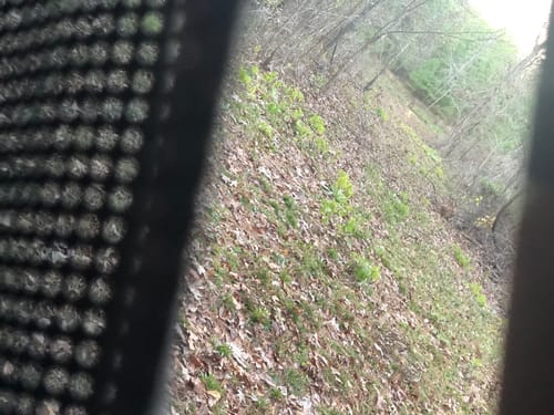 Customer photo review of VisMaster 270° See-through Hunting Blind with No-Trip Door - KOL Exclusive